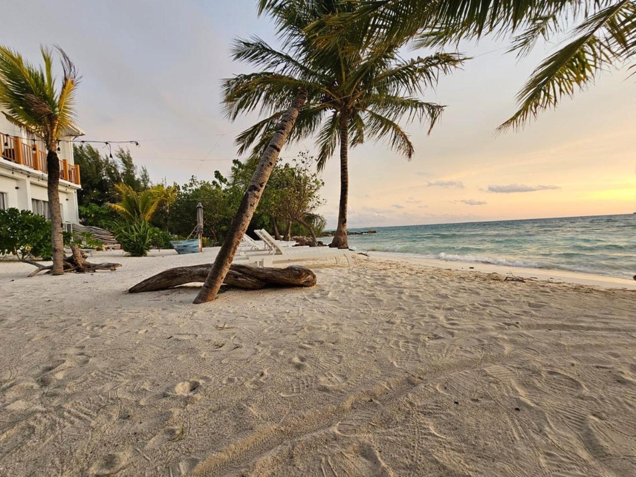 The Sunset Villa Dhiffushi Luaran gambar